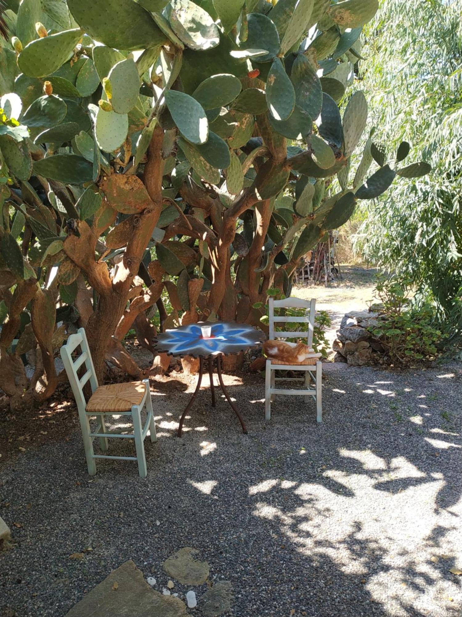Wellanidia Cottage Skoutari Gytheio Exterior foto
